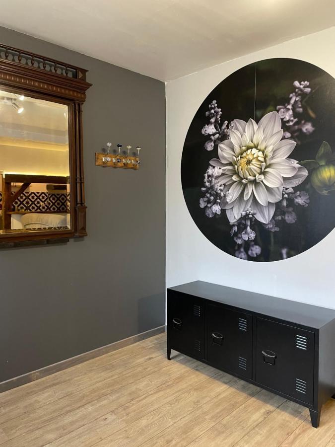 Le Dahlia, 5 Mn De Beauval Βίλα Saint-Aignan  Εξωτερικό φωτογραφία